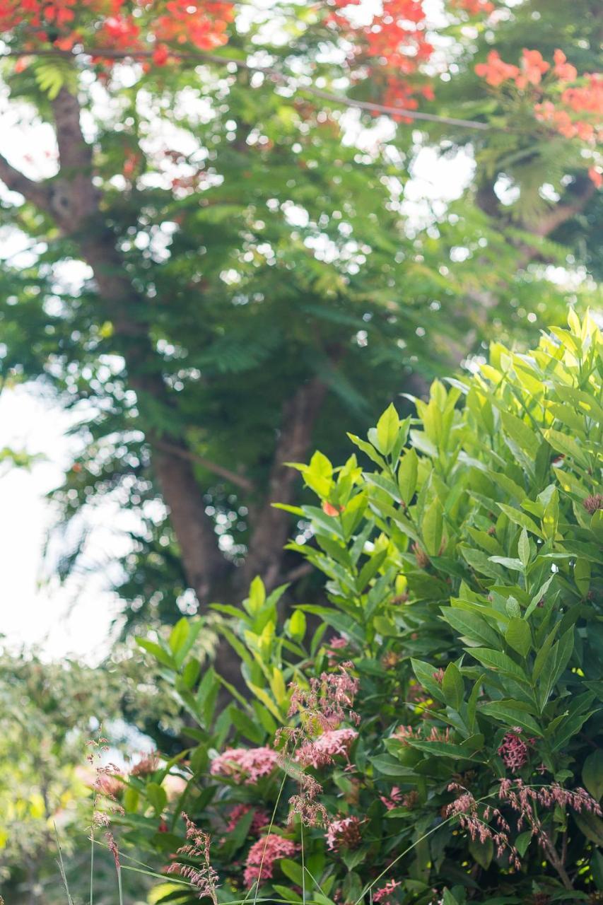 Pousada Solar Tropical Saquarema Eksteriør bilde